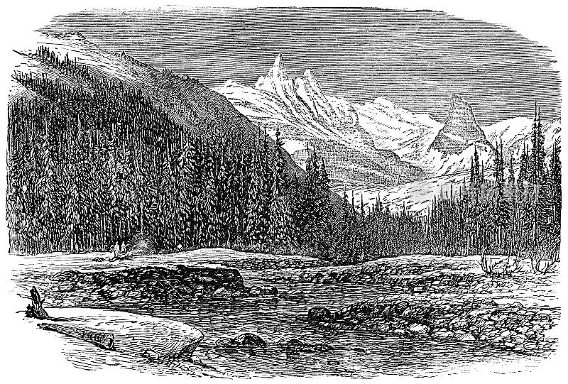 加拿大不列颠哥伦比亚省的霍马斯科冰原和布特湾- 19世纪